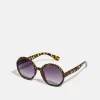 Anna Field Sunglasses - Brown